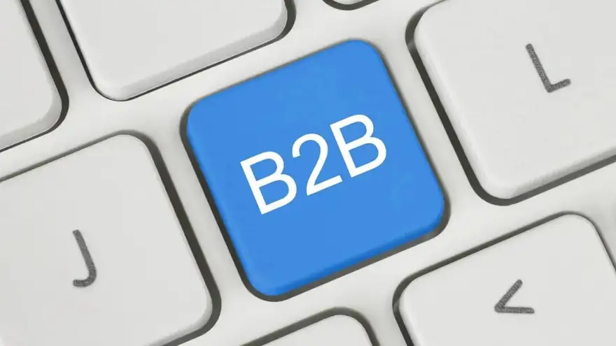 B2B与B2C营销全攻略：从企业合作到和消费者连接的成功秘诀 配图 1
