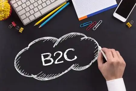 B2B与B2C营销全攻略：从企业合作到和消费者连接的成功秘诀 配图 2